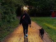 Dog Walking